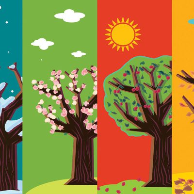four-seasons-trees-DorVian-com